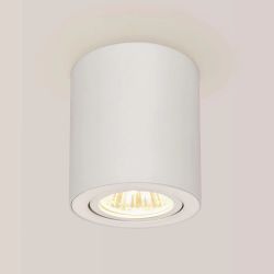 Citilux Дюрен CL538111 Светильник накладной поворотный Белый