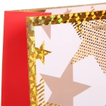 Пакет подарочный «Волшебство» 31*42*12 см, микс