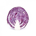 Редма F1 семена капусты краснокочанной (Rijk Zwaan / Райк Цваан)