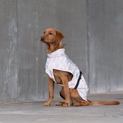 Попона-дождевик светоотражающая Lunas Trixie