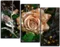 Модульная картина "Золотая роза "