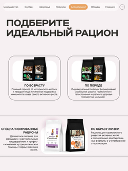 Корм сухой для котят породы Канадский сфинкс, с индейкой, 2 кг, QUATTRO