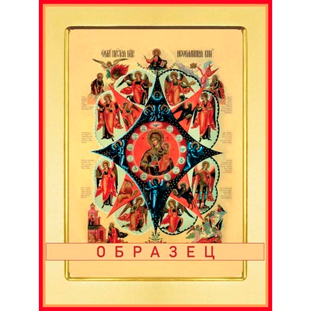 Неопалимая купина икона Божией Матери БМ-40 (бм/Н/5/3)