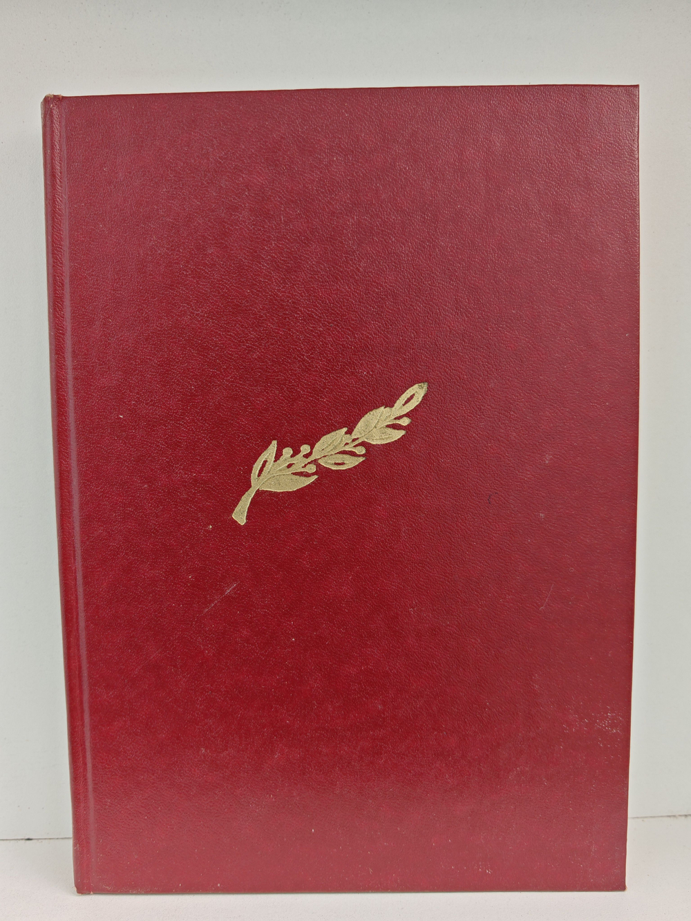 Дочери России