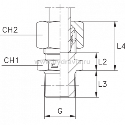Штуцер FC DS16 BSP 1/2" (в сборе) нерж.