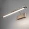 Подсветка для картин Elektrostandard Simple LED 10W 1011 IP20 бронза a038393