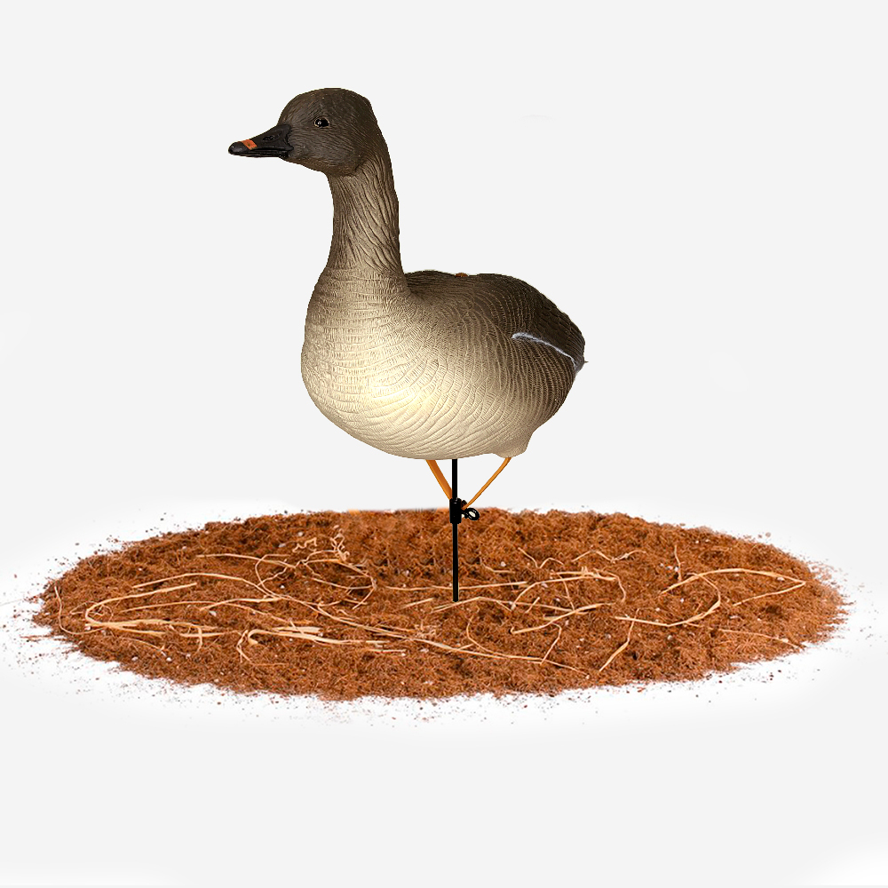 Гусь гуменник Duck Mania "ALFA"