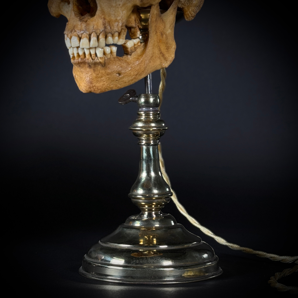 Ночник «Череп человека»