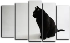 Модульная картина "Черный кот"
