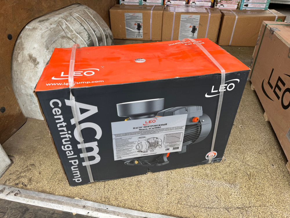 Насос LEO ACm300B3