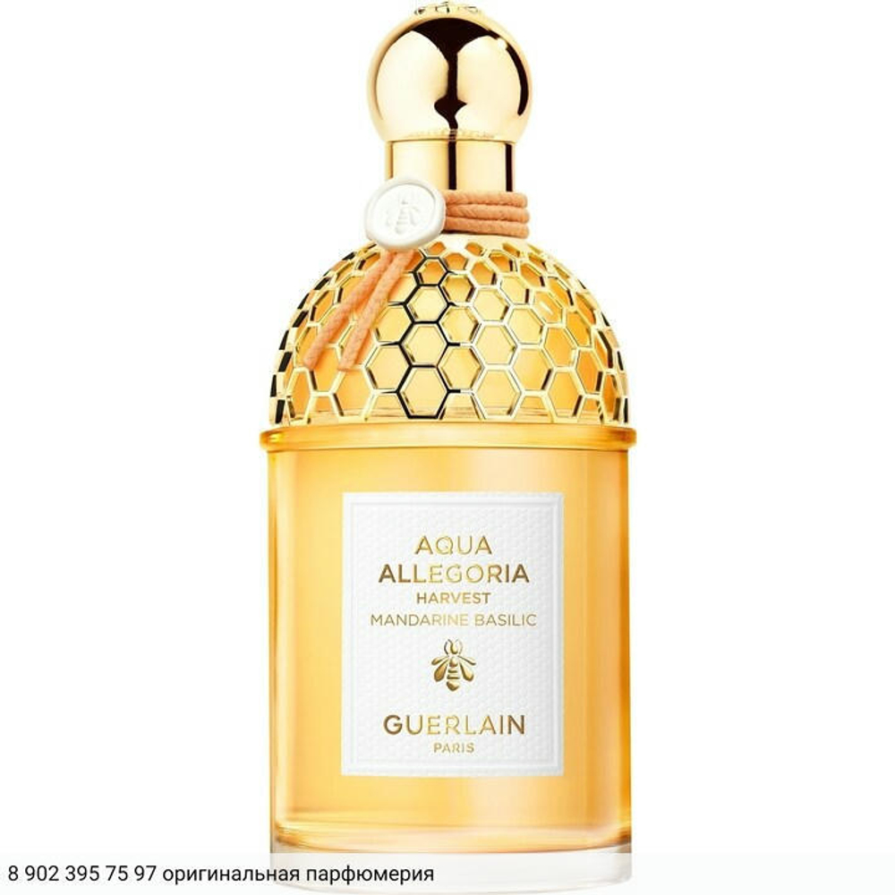 Aqua Allegoria Mandarine Basilic Harvest