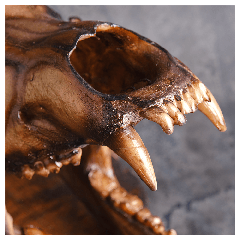 Артефакт тотем «Абсолютная власть»