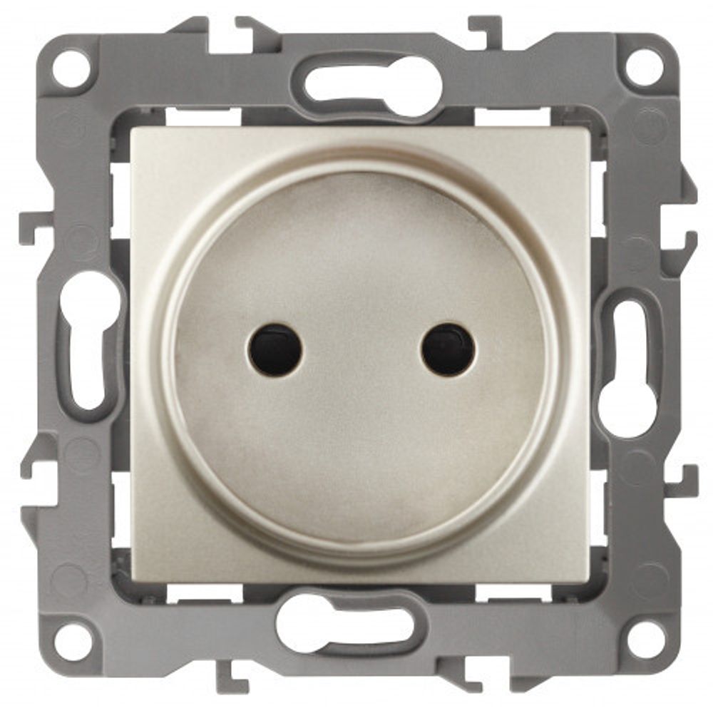 12-2105-04 ЭРА Розетка 2P, 16A-250В, IP20, Эра12, шампань | Без бренда