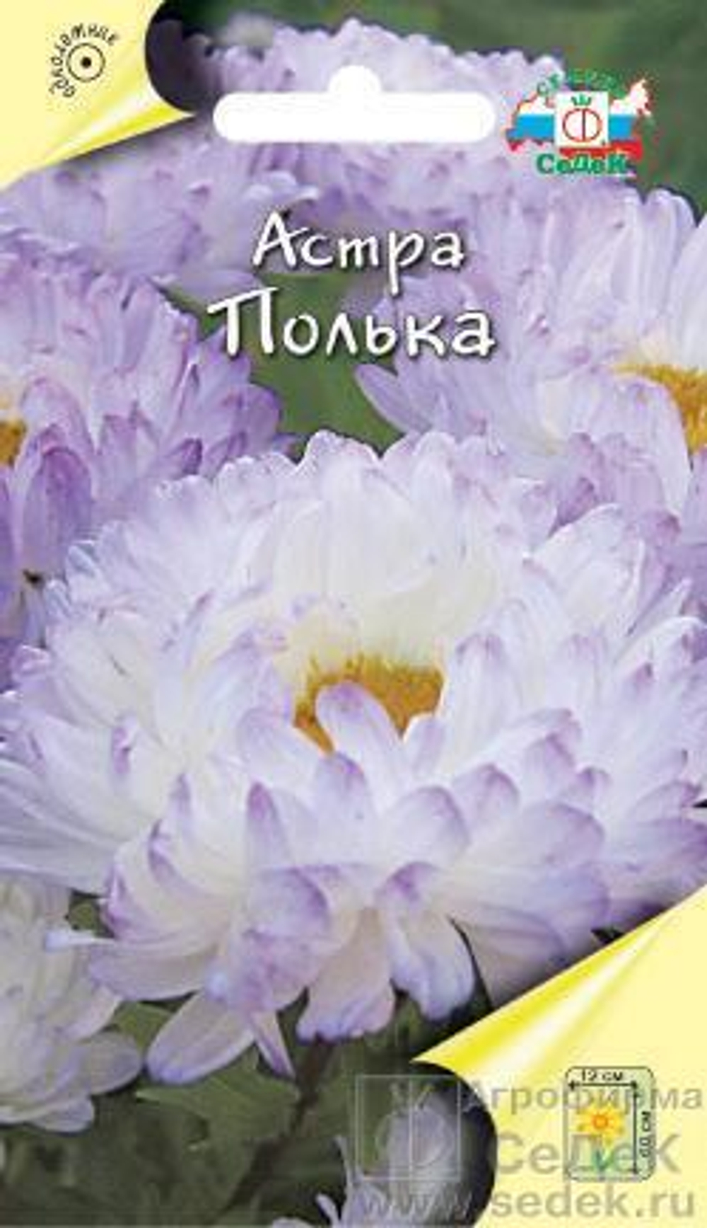 Астра Полька пионовидная 0,25 г Седек