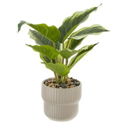 GAEM Цветочная композиция "Спатифиллум", L24 W22 H25 см