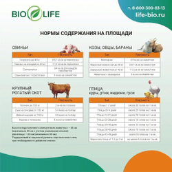 Бактерии для подстилки BioLife холодный сезон, 250г