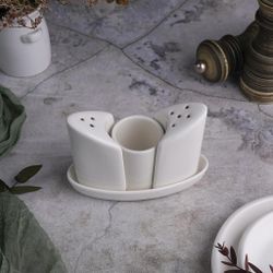 Набор для специй 3 предмета 12,5*6,7 см h9 см белый фарфор, P.L. Proff Cuisine [1]
