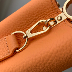 Louis Vuitton Capucines Mini