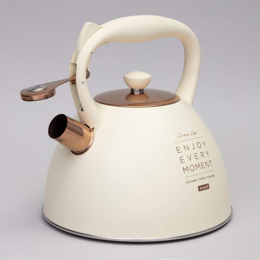 Чайник 3л нерж со свистком, термоаккумулирующее дно, индукция