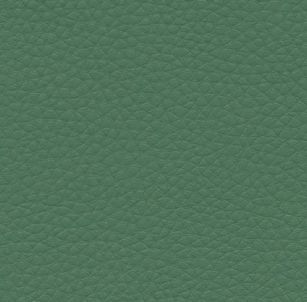 Искусственная кожа Alba dollaro 509 (Альба долларо 509)