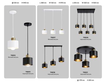 Подвесной светильник в стиле лофт 3*Е27 TR8117/3 WH/BS белый/латунь Traditional Loft Ambrella