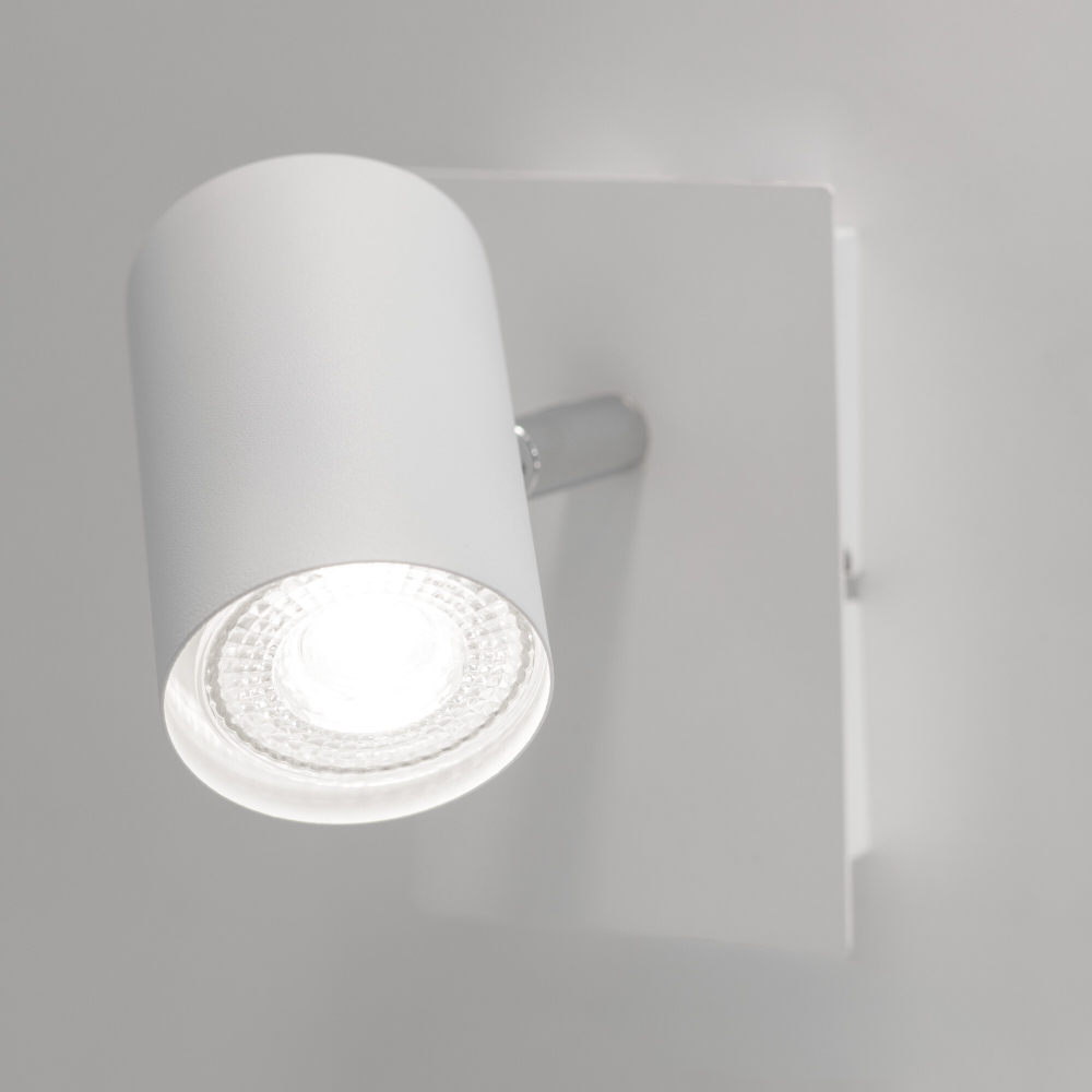 Светильник настенно-потолочный EVALO EL-2I W-SR