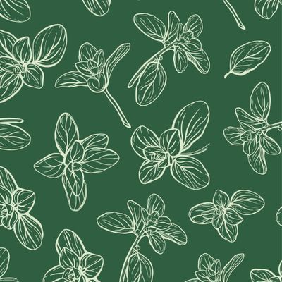 Листья базилика, орегано или майорана. Линейный стиль