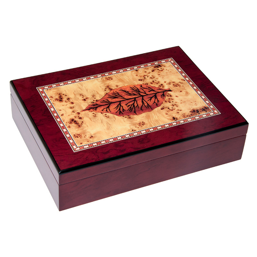 Хьюмидор для сигар Aficionado AFN-H330