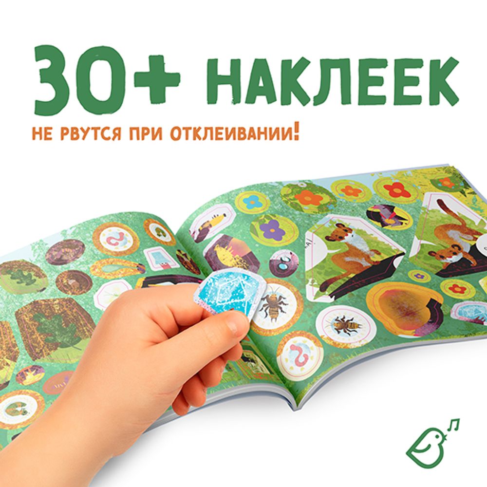 Агент Молли 008. Секретная миссия с паролем. книга с наклейками