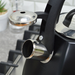 Чайник 3л нерж "Fanhoff" (88689)