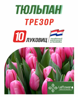 Тюльпан, Трезор 10 луковиц