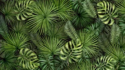 Цифровое панно ID Wall EXOTIC