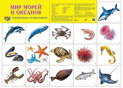 Плакат демонстрационный супер А2 "Мир морей и океанов" (Сфера)