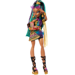 Monster High - Нефера де Нил базовая кукла + питомец JDR48