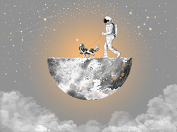 Коллекция COSMOS25
