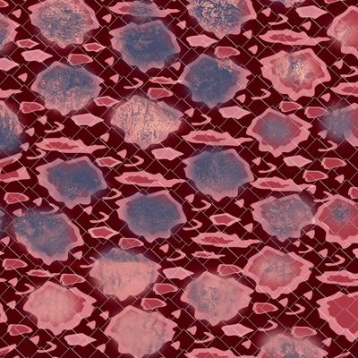 Змеиный окрас гармония