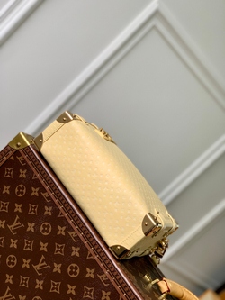 Louis Vuitton Side Trunk MM