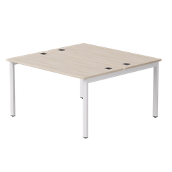 Бенч-система на 2 места Everprof EVO на металлокаркасе 1380х670(1370)x755