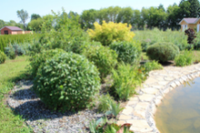 Популярные товары