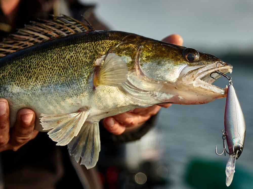 Воблер плавающий LJ ORIGINAL SHAD-X F 08.00/003
