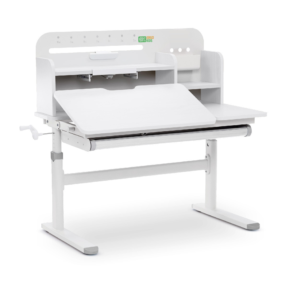Растущая парта Ergokids Argo
