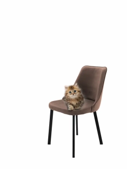 Стул "Флорес" 1 шт. Антивандальная ткань, Усиленные ножки