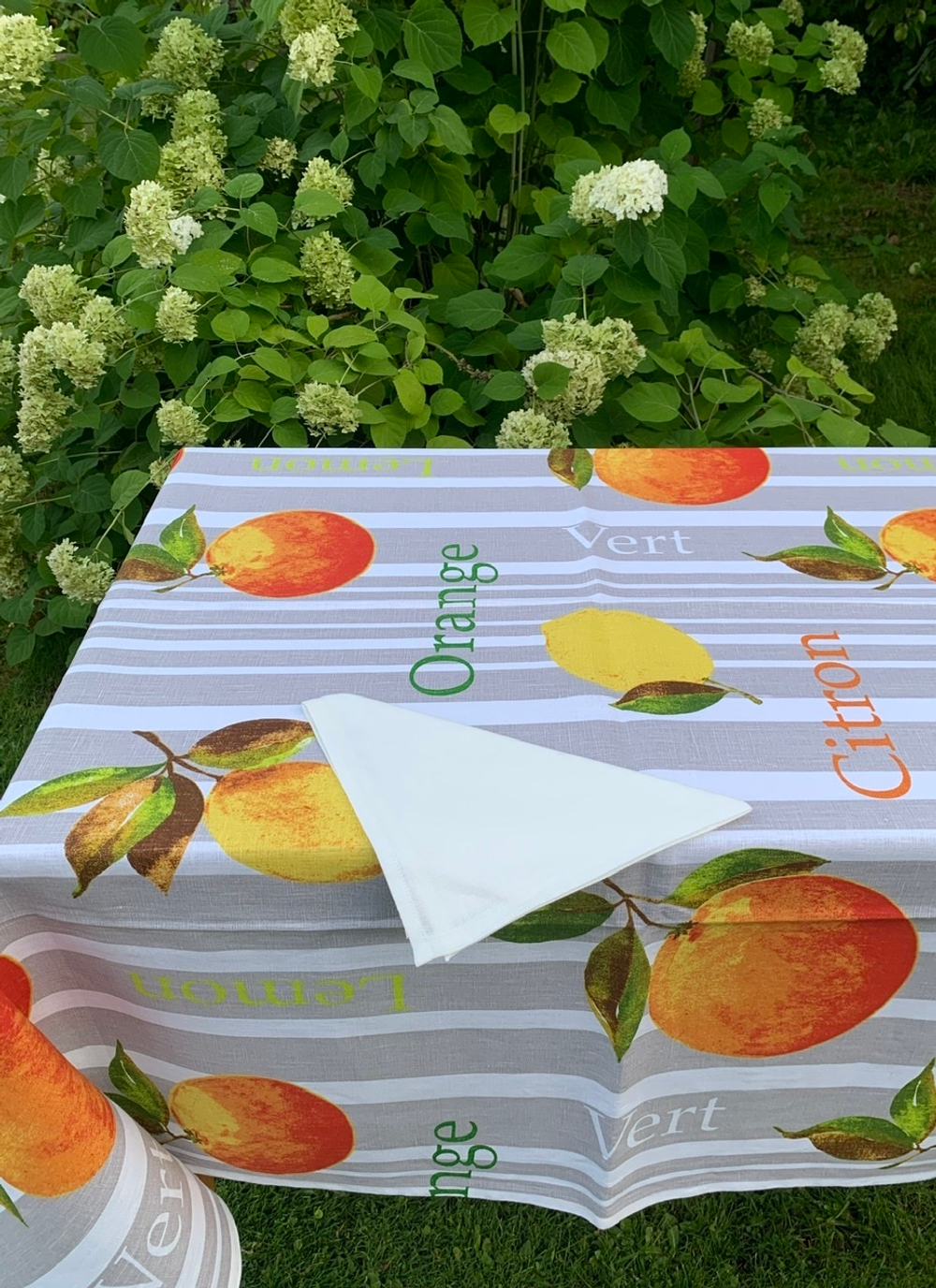 Скатерть 150x180 и 6 салфеток Dreams Citrus