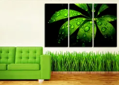 Модульная картина "Зеленая роса"