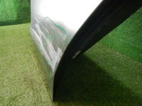 DSCN1243.jpg
