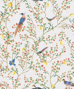 Gloockler Pompoos Provence