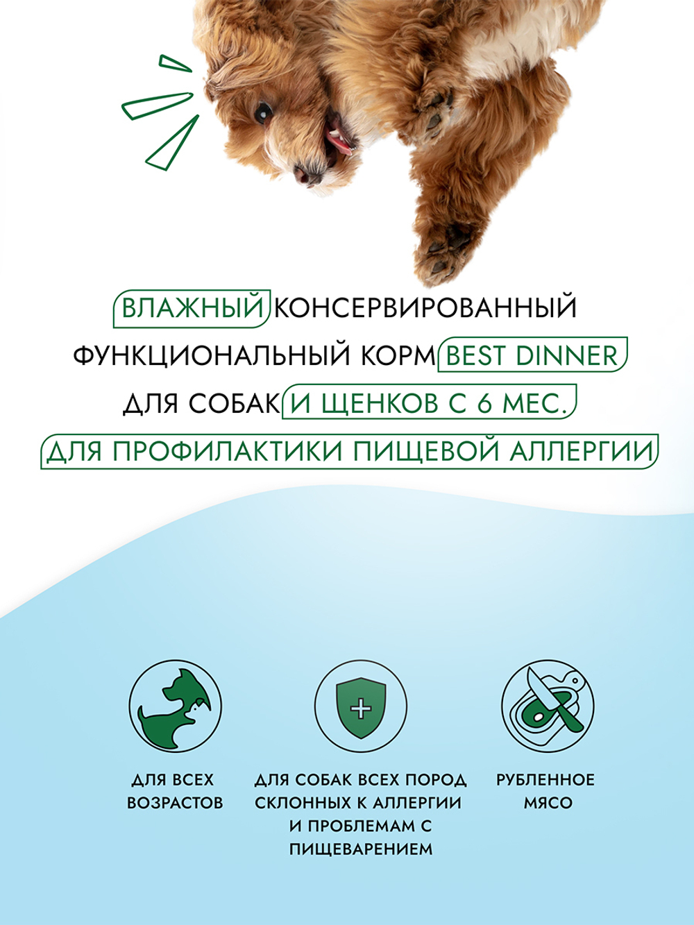 Best Dinner Эксклюзив Vet Profi для собак - Консервы  Exclusive Hypoallergenic С кониной и рисом 340 г