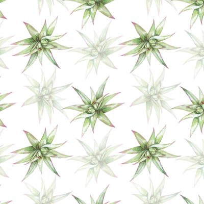 Зеленые бутоны