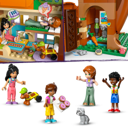 LEGO Friends - Встреча в домике на Дереве Дружбы 42652