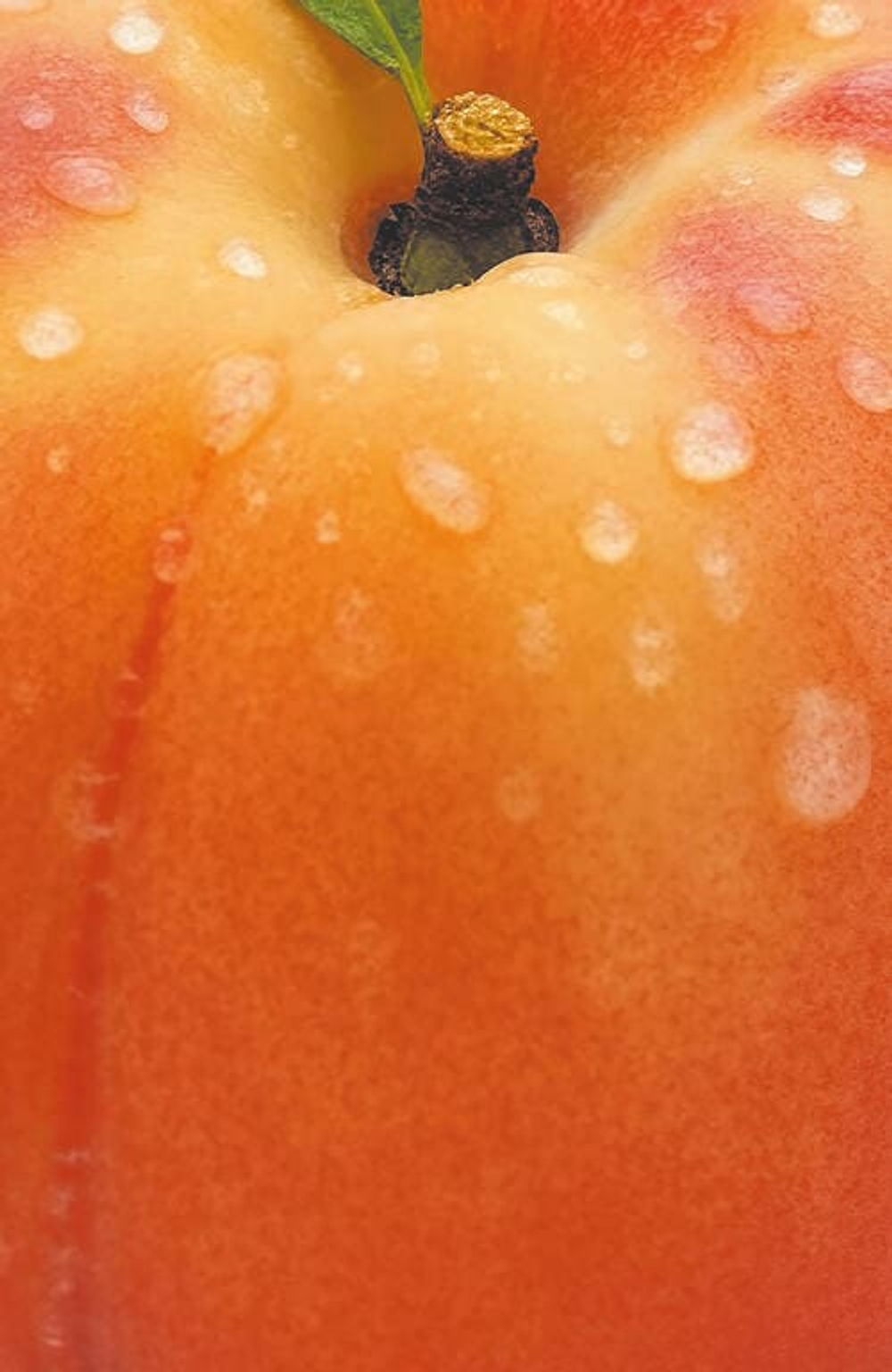 Новинки 14.04.26